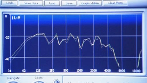 Frequenzspektrum einer E-Gitarre (Foto: SWR - Screenshot aus der Sendung)
