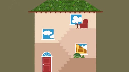 Zeichnung eines Hauses, durch das eine Schildkröte läuft. (Foto: SWR – Screenshot aus der Sendung)
