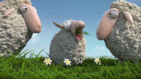 Kleines Schaf spuckt Gras aus. (Foto: SWR – Screenshot aus der Sendung)