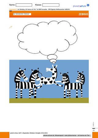 Arbeitsblatt 5: Wie fühlt sich das Zebra in der Gruppe? (Foto: )
