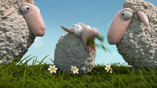 Zwei große Schafe stehen links und rechts neben einem einem kleinen Schaf in der Mitte. Das kleine Schaf grast.