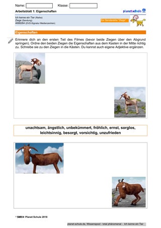 Arbeitsblatt 1: Eigenschaften zuordnen