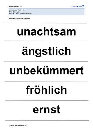 Materialblatt 1a: Begriffe für Tafel I