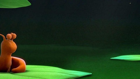 Bannerbild