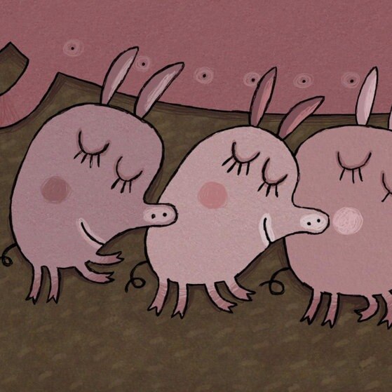 Fledermaus schaut auf drei schlafende Schweinchen.