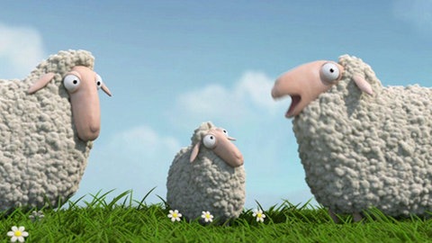 Bannerbild