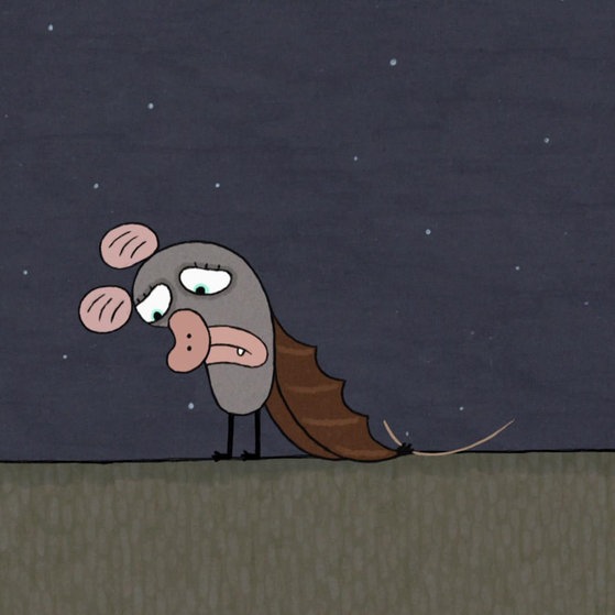 Fledermaus schaut traurig.