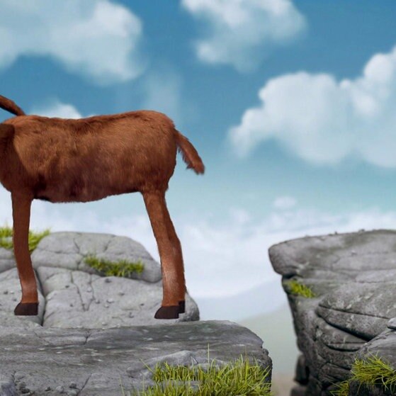 Große Ziege steht staunend auf der anderen Felsenseite.