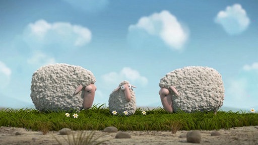 Ein kleines Schaf steht zwischen zwei großen, die grasen, auf einer Weide