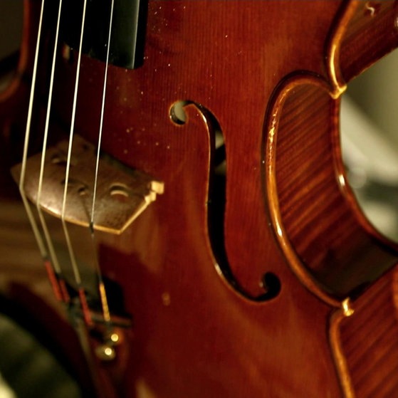 Nahaufnahme : Resonanzkörper der Bratsche.