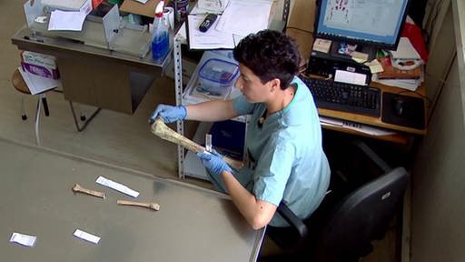 Eine Frau im Labor untersucht Knochen. (Foto: SWR - Screenshot aus der Sendung)