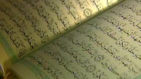 Bannerbild Bandmitglieder