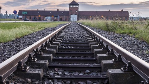 Ein Gleis führt Richtung Haupteingang des KZ Auschwitz (Foto: WDR, Imago)
