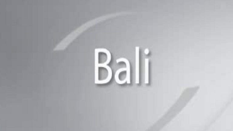 Auf einem grauen Hintergrund ist der Schriftzug "Bali" zusehen. (Foto: SWR – Screenshot aus der Sendung)