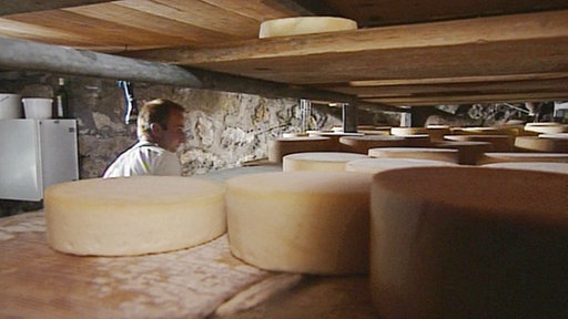 Runde Käselaibe im Holzregal
