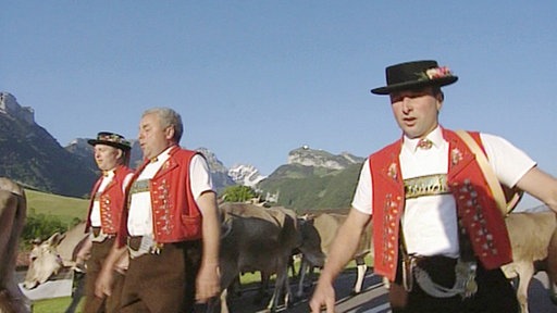 Sennen in Trachten führen ihre Rinder auf die Alm