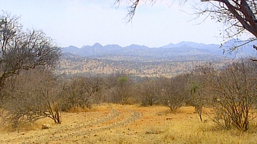Ausgedörrtes Gras und Büsche vor gebirgiger Landschaft