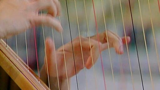 Nahaufnahme: Rechts und links von verschiedenfarbigen Saiten sind die zierlichen Hände der Harfespielerin zu sehen. (Foto: SWR)