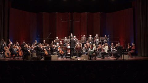 Symphonieorchester vom Publikum aus gesehen. (Foto: SWR – Screenshot aus der Sendung)