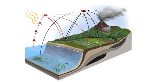 Kohlenstoffkreislauf