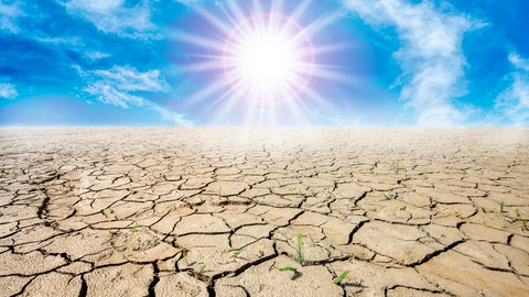 Vertrockneter Boden unter Sonne