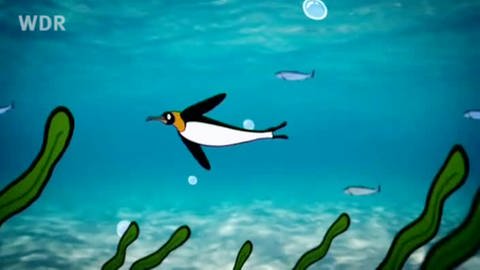 Zeichnung eines Pinguins, der durch das Meer taucht (Foto: vision X/WDR)