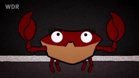 Trickfilmzeichnung eines Krebs mit erhobenen Scheren.