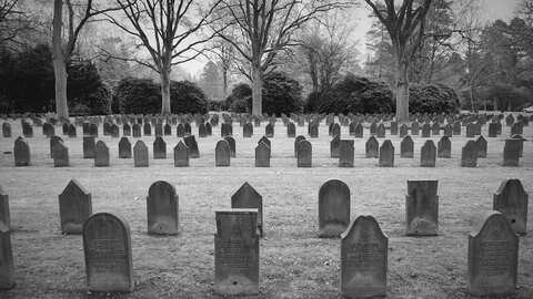 Friedhof HamburgOhlsdorf