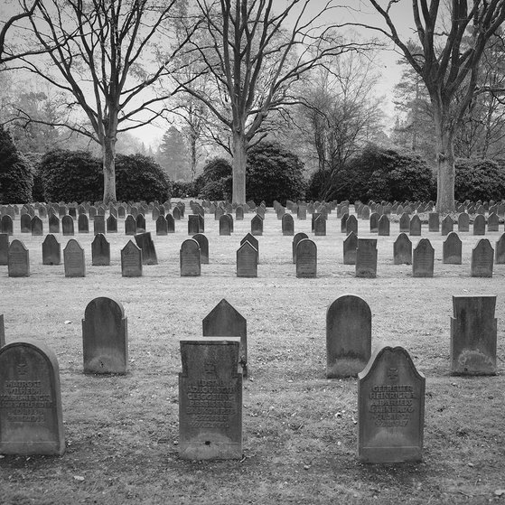 Friedhof HamburgOhlsdorf
