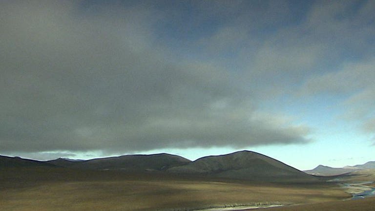 Wrangel Island (Foto: SWR – Screenshot aus der Sendung)