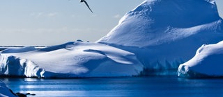 Bannerbild Eisberge