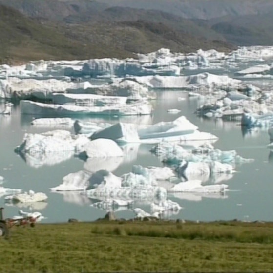 Eisstücke treiben im Wasser vor der Küste.
