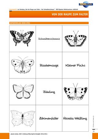 Arbeitsblatt 8: Schmetterlings-Memo-Spiel (Foto: )
