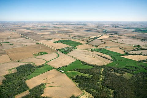 Ein Mosaik aus Feldern in einer Luftaufnahme (Foto: Jupiterimages/Thinkstock)