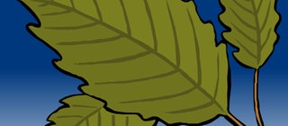 Startscreen der Animation