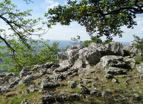 Eine Gruppe Kalkfelsen der Schwäbischen Alb