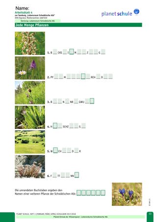 Arbeitsblatt 4: Jede Menge Pflanzen (Foto: )