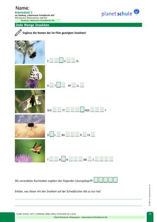 Arbeitsblatt 2: Insekten der Schwäbischen Alb (Foto: )