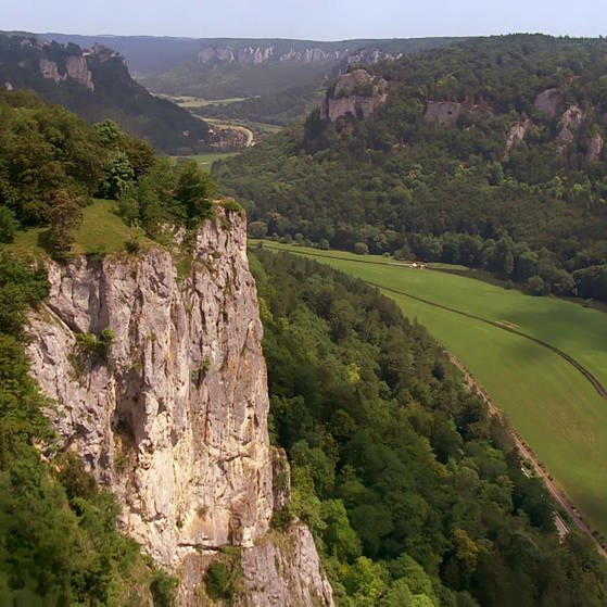 Kalksteinfelsen oberhalb der Donau. (Foto: SWR – Screenshot aus der Sendung)