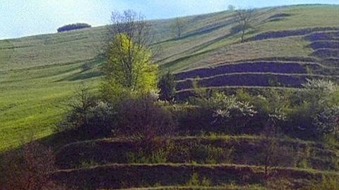 Ein in Terrassen angelegter Hügel.