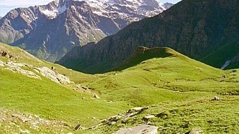 Blick in ein Alpental.