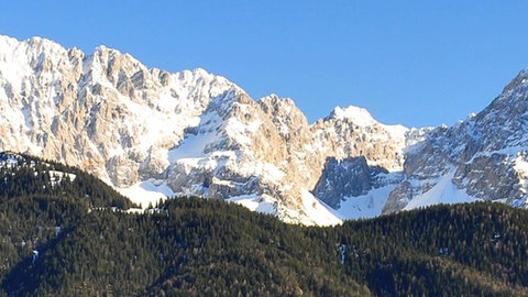 Panoramaaufnahme einer schneebedeckten Gebirgskette mit einem Wald davor.