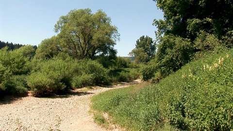 Trockenes Flussbett.
