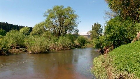 Donau bei Immendingen.