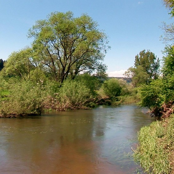 Donau bei Immendingen.