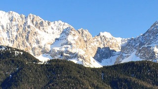 Panoramaaufnahme einer schneebedeckten Gebirgskette mit einem Wald davor.