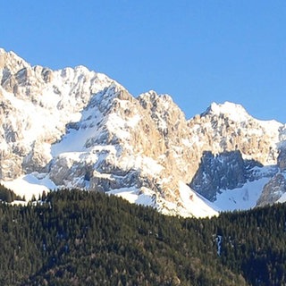 Panoramaaufnahme einer schneebedeckten Gebirgskette mit einem Wald davor.