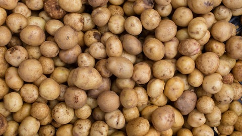 Kartoffeln