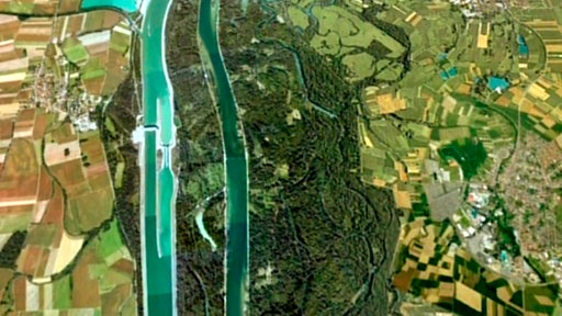 Luftaufnahme des Rheins.
