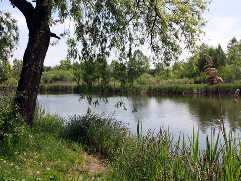 See im Frühjahr